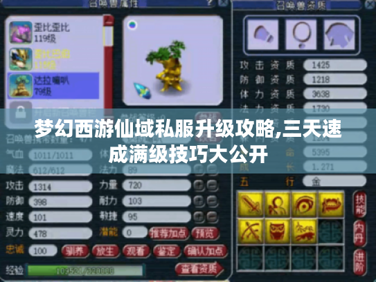 梦幻西游仙域私服升级攻略,三天速成满级技巧大公开