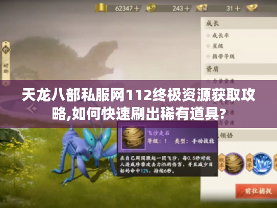 天龙八部私服网112终极资源获取攻略,如何快速刷出稀有道具?