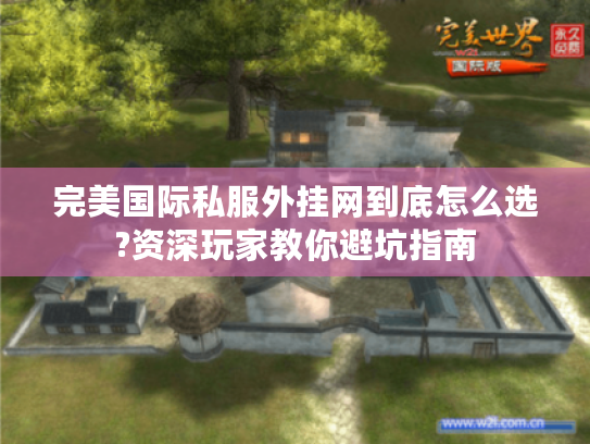 完美国际私服外挂网到底怎么选?资深玩家教你避坑指南