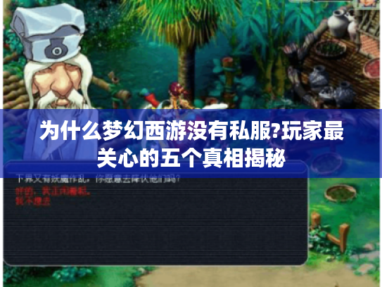 为什么梦幻西游没有私服?玩家最关心的五个真相揭秘