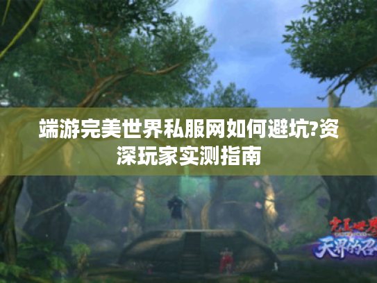 端游完美世界私服网如何避坑?资深玩家实测指南