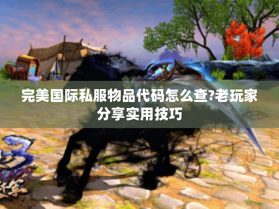 完美国际私服物品代码怎么查?老玩家分享实用技巧