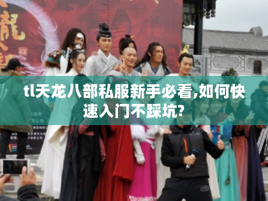 tl天龙八部私服新手必看,如何快速入门不踩坑?