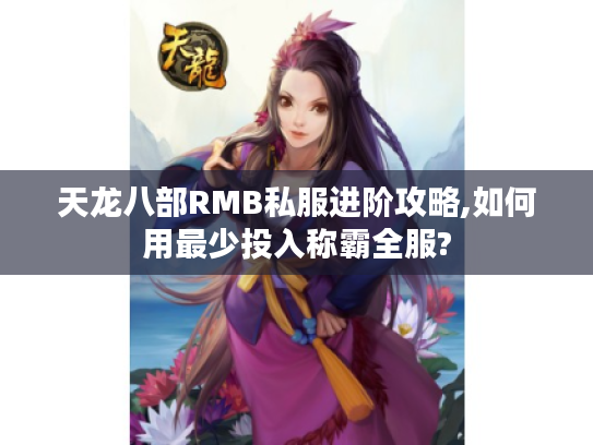 天龙八部RMB私服进阶攻略,如何用最少投入称霸全服?