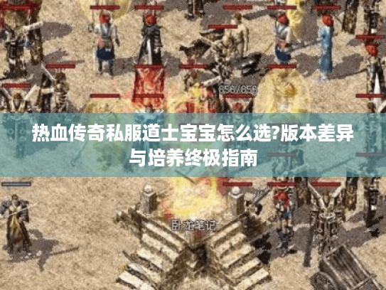热血传奇私服道士宝宝怎么选?版本差异与培养终极指南
