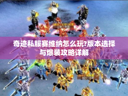 奇迹私服赛维纳怎么玩?版本选择与爆装攻略详解