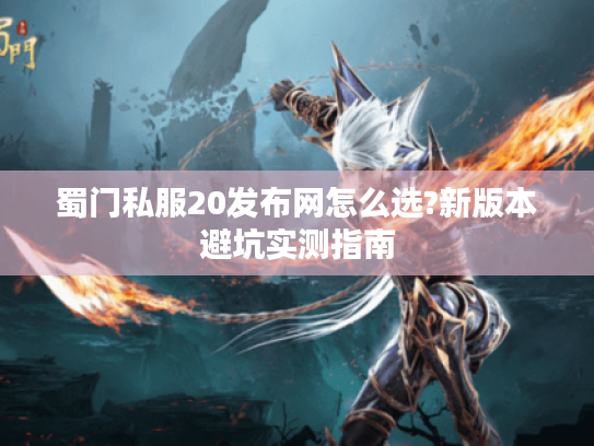 蜀门私服20发布网怎么选?新版本避坑实测指南