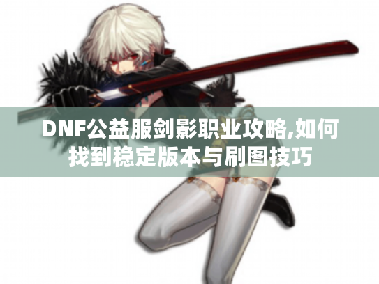 DNF公益服剑影职业攻略,如何找到稳定版本与刷图技巧