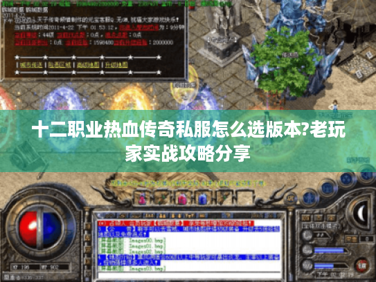 十二职业热血传奇私服怎么选版本?老玩家实战攻略分享
