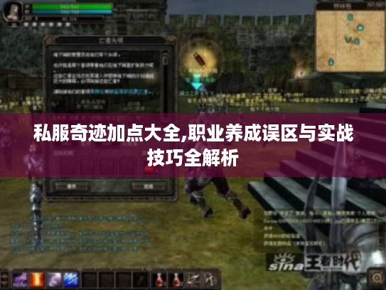 私服奇迹加点大全,职业养成误区与实战技巧全解析