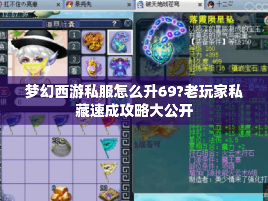 梦幻西游私服怎么升69?老玩家私藏速成攻略大公开