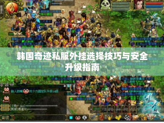 韩国奇迹私服外挂选择技巧与安全升级指南