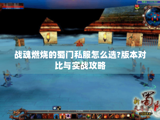 战魂燃烧的蜀门私服怎么选?版本对比与实战攻略