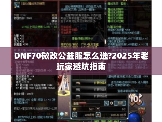 DNF70微改公益服怎么选?2025年老玩家避坑指南