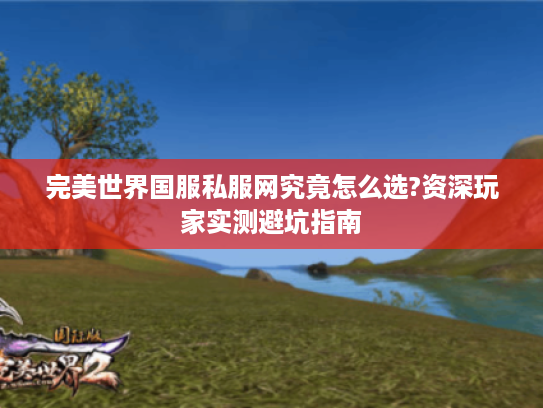 完美世界国服私服网究竟怎么选?资深玩家实测避坑指南