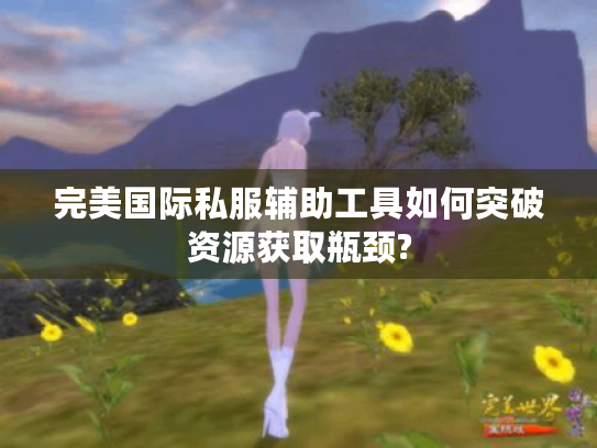 完美国际私服辅助工具如何突破资源获取瓶颈?