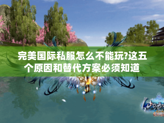 完美国际私服怎么不能玩?这五个原因和替代方案必须知道