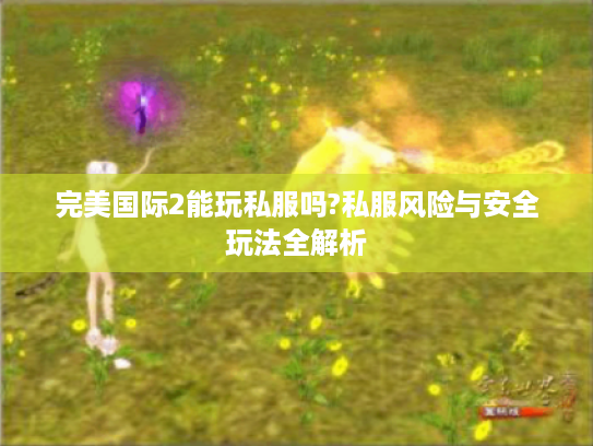 完美国际2能玩私服吗?私服风险与安全玩法全解析