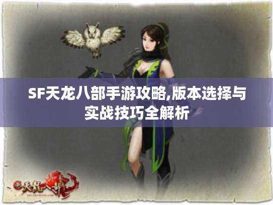 SF天龙八部手游攻略,版本选择与实战技巧全解析
