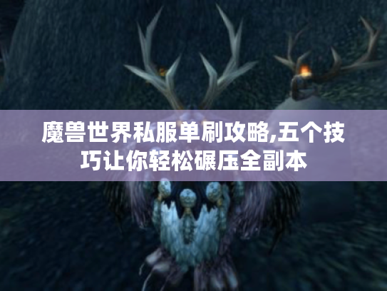 魔兽世界私服单刷攻略,五个技巧让你轻松碾压全副本