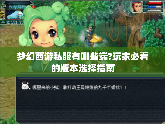 梦幻西游私服有哪些端?玩家必看的版本选择指南
