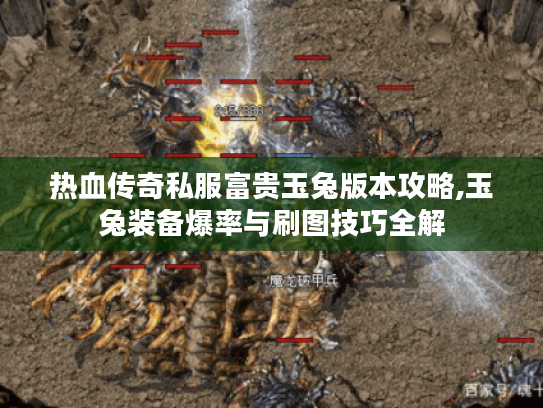 热血传奇私服富贵玉兔版本攻略,玉兔装备爆率与刷图技巧全解