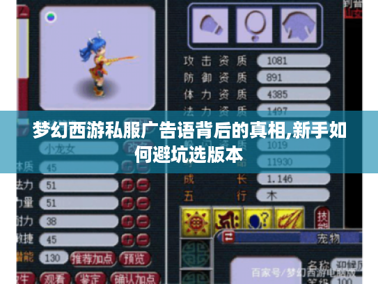 梦幻西游私服广告语背后的真相,新手如何避坑选版本