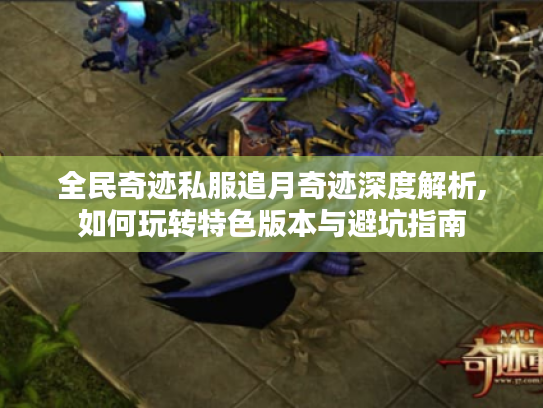全民奇迹私服追月奇迹深度解析,如何玩转特色版本与避坑指南