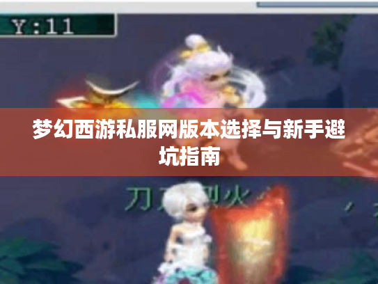 梦幻西游私服网版本选择与新手避坑指南