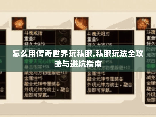 怎么用传奇世界玩私服,私服玩法全攻略与避坑指南