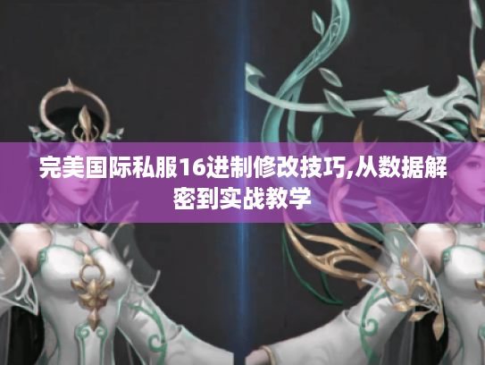 完美国际私服16进制修改技巧,从数据解密到实战教学