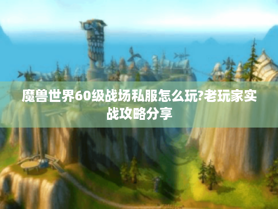 魔兽世界60级战场私服怎么玩?老玩家实战攻略分享