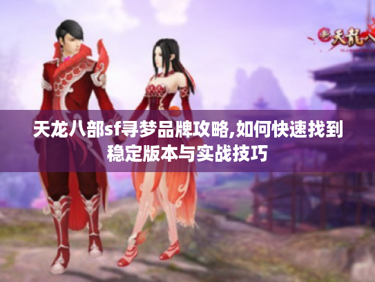 天龙八部sf寻梦品牌攻略,如何快速找到稳定版本与实战技巧