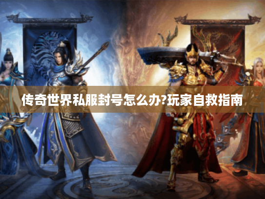 传奇世界私服封号怎么办?玩家自救指南