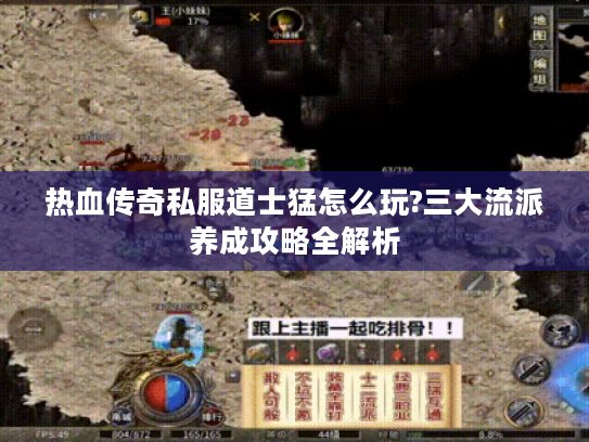 热血传奇私服道士猛怎么玩?三大流派养成攻略全解析