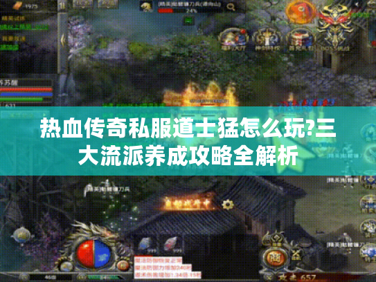 热血传奇私服道士猛怎么玩?三大流派养成攻略全解析