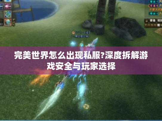 完美世界怎么出现私服?深度拆解游戏安全与玩家选择