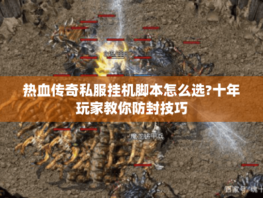 热血传奇私服挂机脚本怎么选?十年玩家教你防封技巧