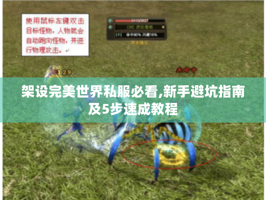 架设完美世界私服必看,新手避坑指南及5步速成教程