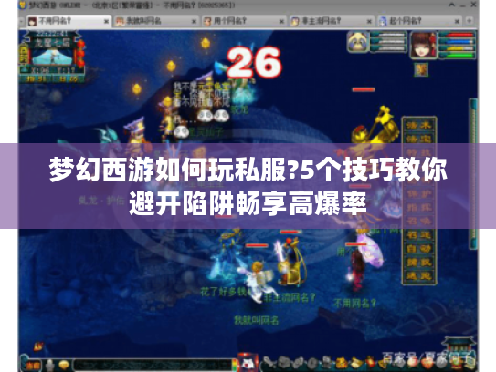 梦幻西游如何玩私服?5个技巧教你避开陷阱畅享高爆率