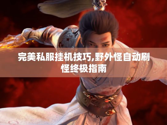 完美私服挂机技巧,野外怪自动刷怪终极指南