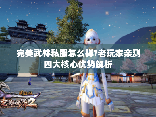完美武林私服怎么样?老玩家亲测四大核心优势解析