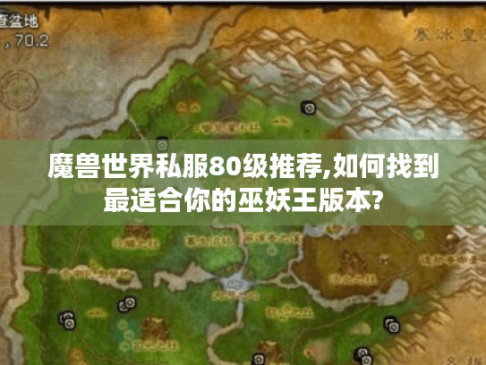 魔兽世界私服80级推荐,如何找到最适合你的巫妖王版本?