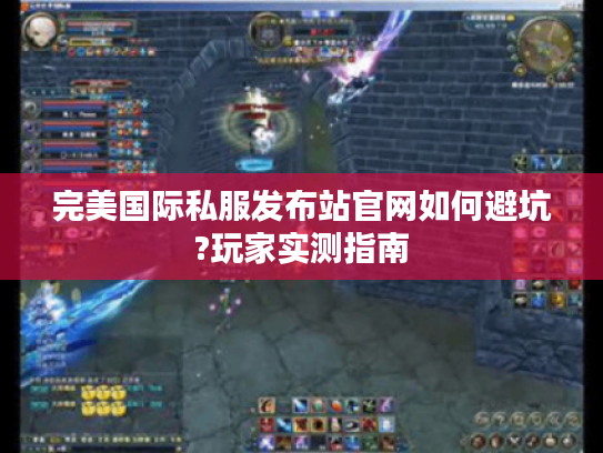 完美国际私服发布站官网如何避坑?玩家实测指南