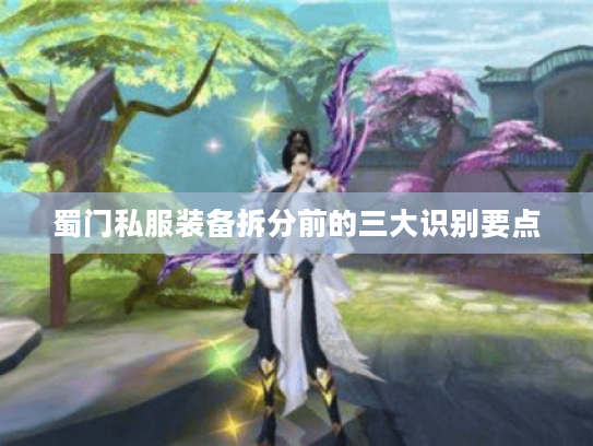 蜀门私服装备拆分前的三大识别要点