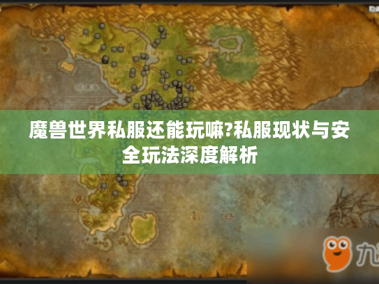 魔兽世界私服还能玩嘛?私服现状与安全玩法深度解析