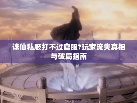 诛仙私服打不过官服?玩家流失真相与破局指南