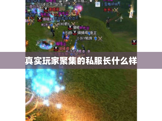 真实玩家聚集的私服长什么样