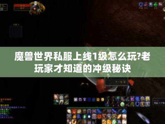 魔兽世界私服上线1级怎么玩?老玩家才知道的冲级秘诀