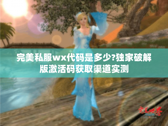 完美私服wx代码是多少?独家破解版激活码获取渠道实测